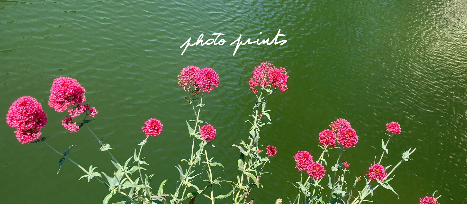 photo prints